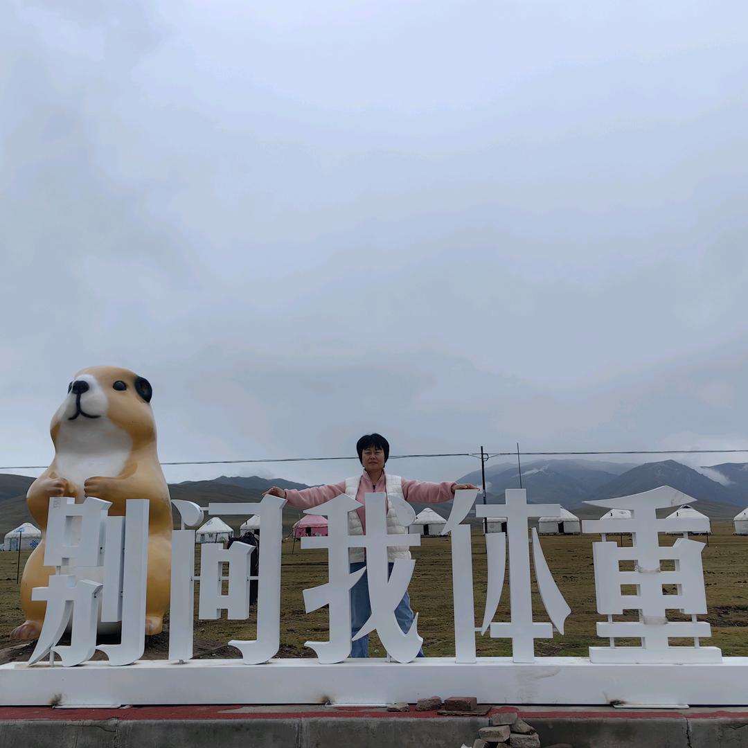 听雨看雪