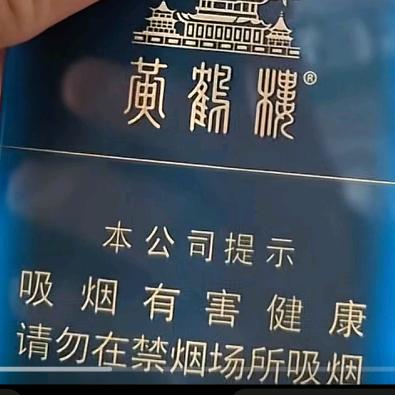 出门不打龟