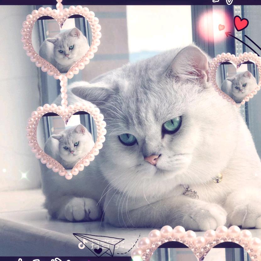 绿邮小卫士@助力三农