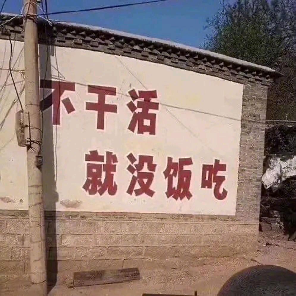 不爱熬夜