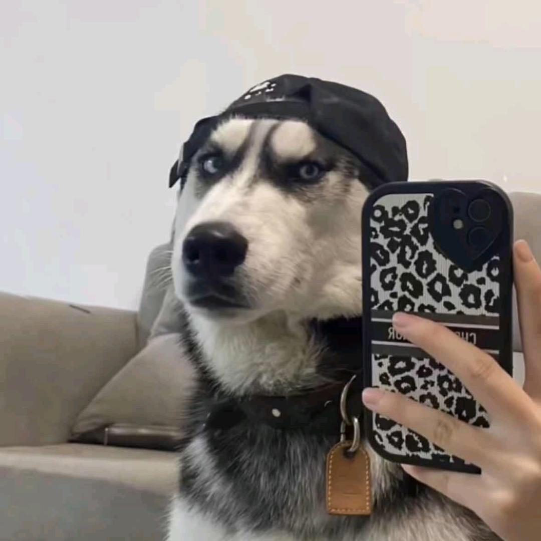 假如犯得起的错～