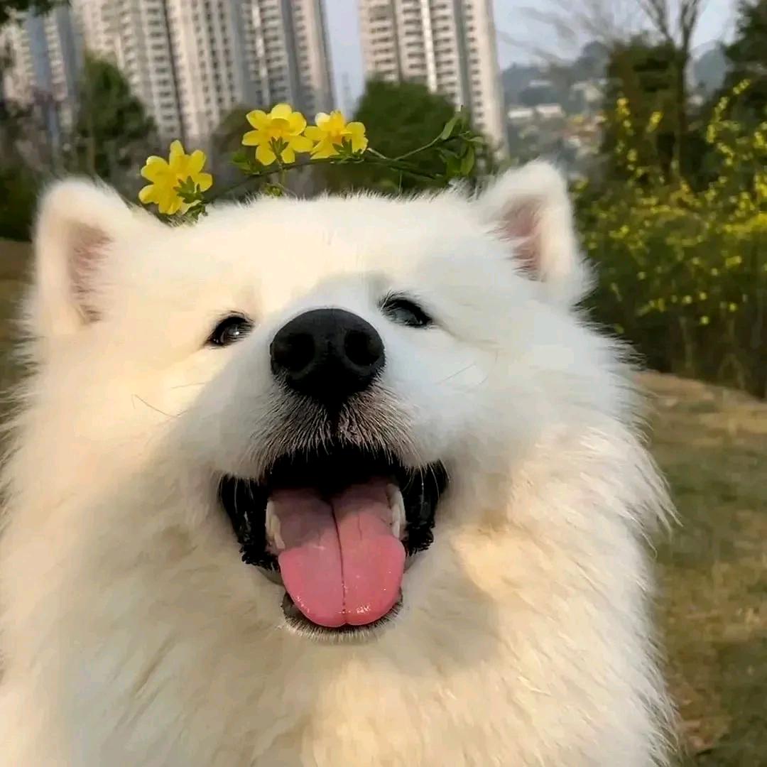 Lucky ovo🌈🌈🌈🌈🌈