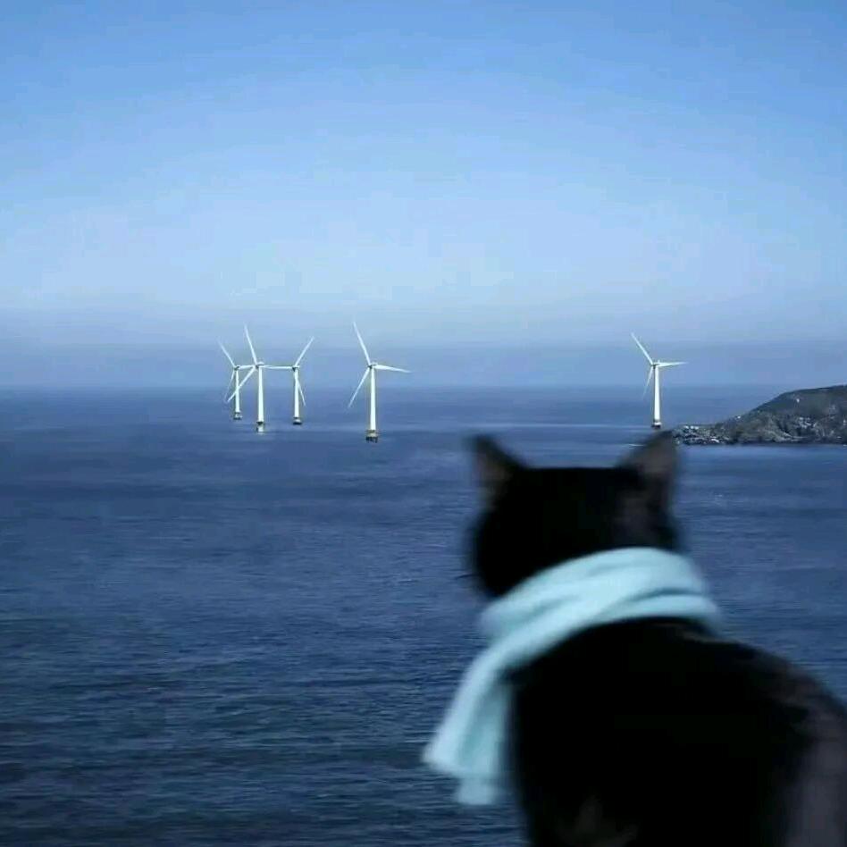 洋芋堆里刨土豆🥔