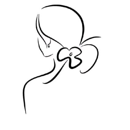 不准分享promax版