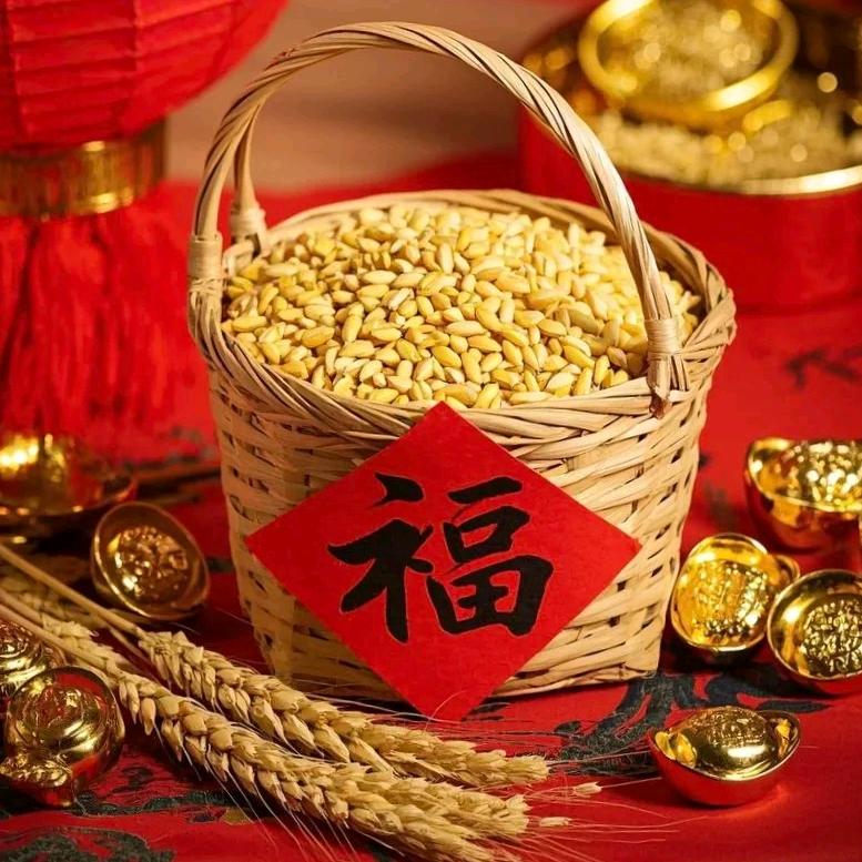 泽丞甄选基地