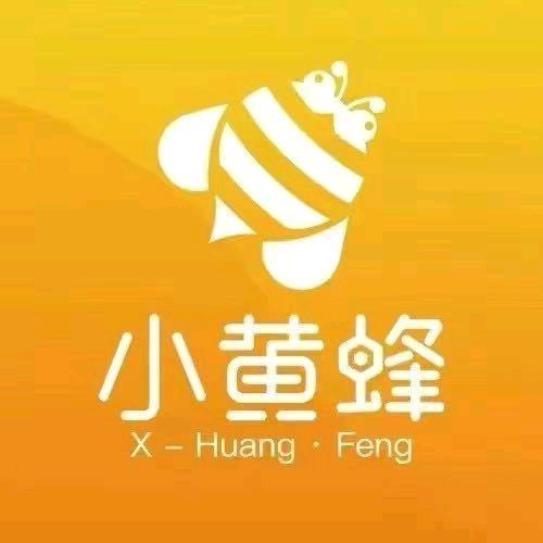 宏英 高端智能家政公司