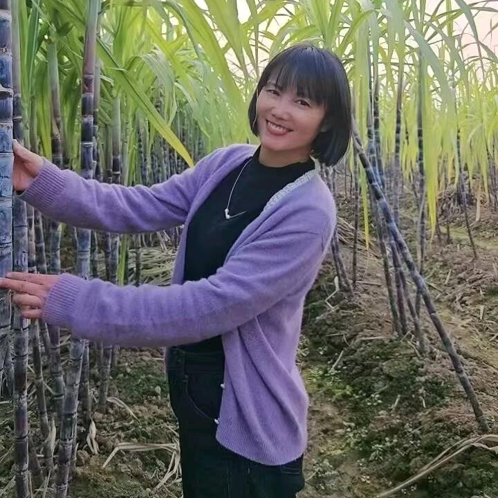 夏荷