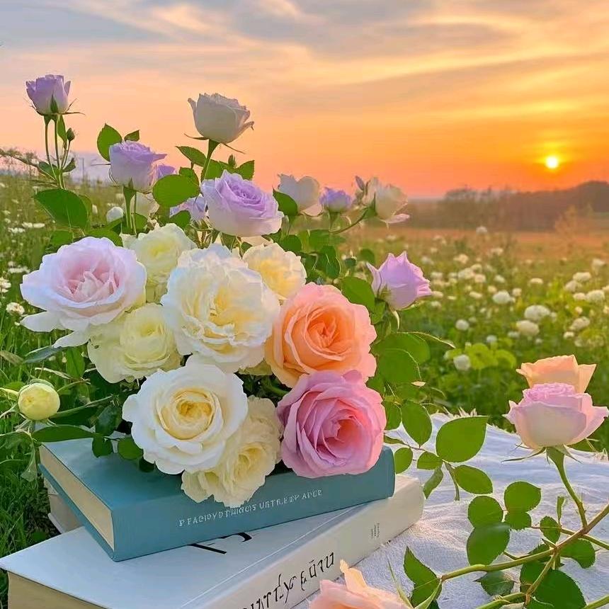 吹吹人间发财风www