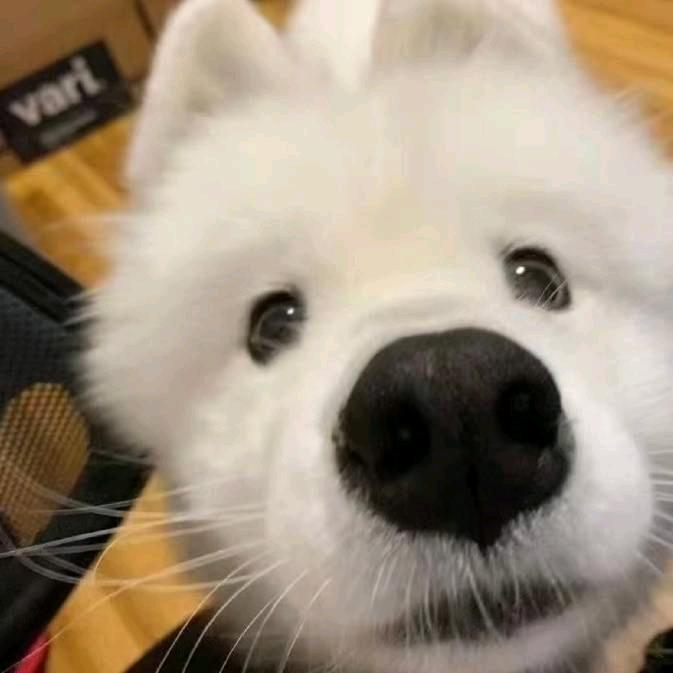 汐易安