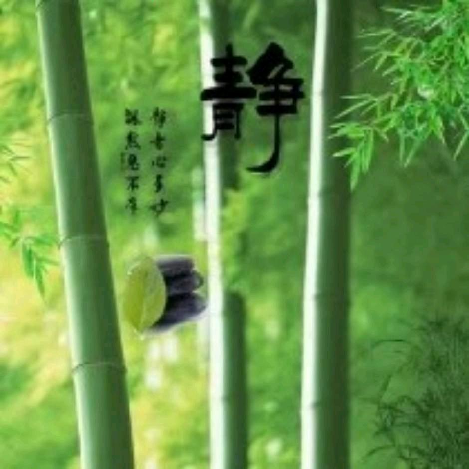 完美一生