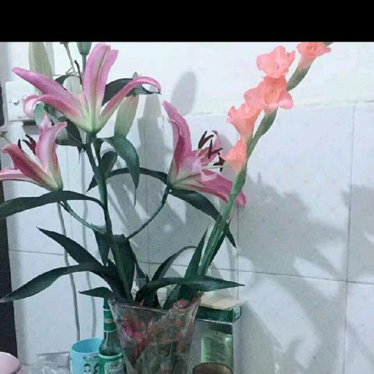 守候今生