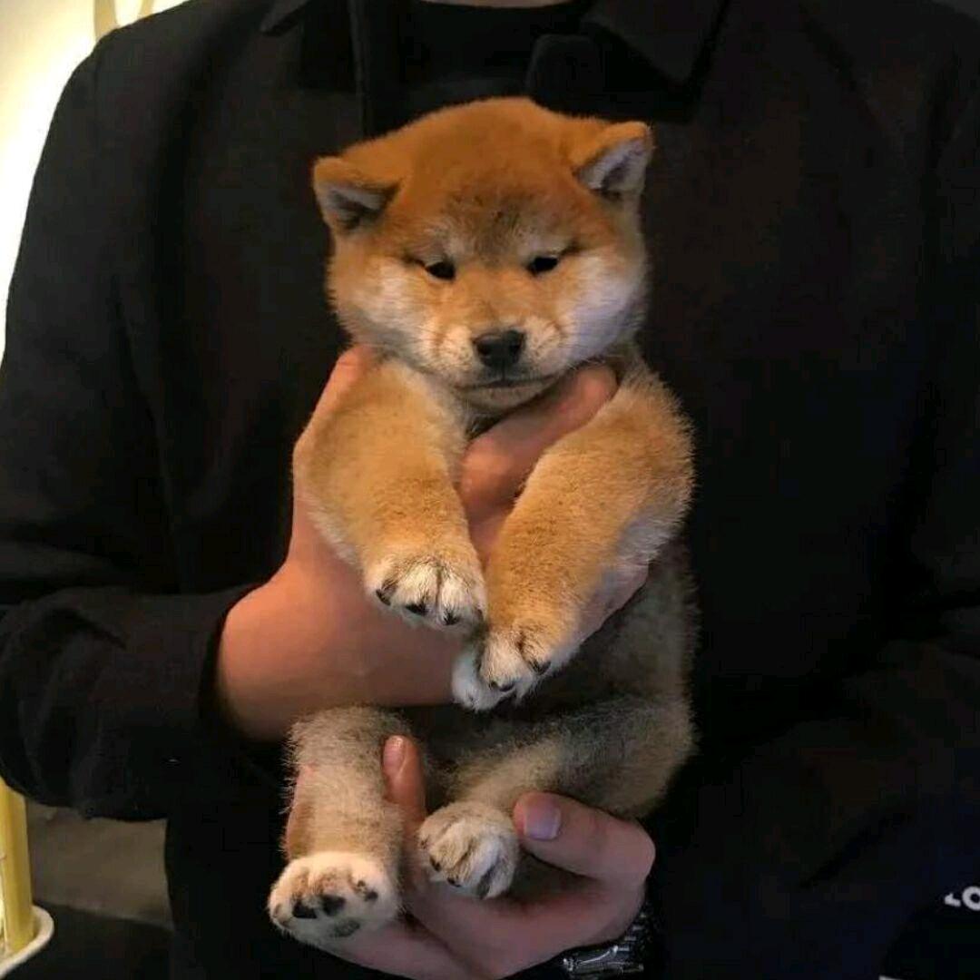 @不紧张