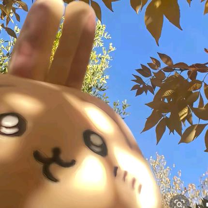 鱼会在天上飞翔.