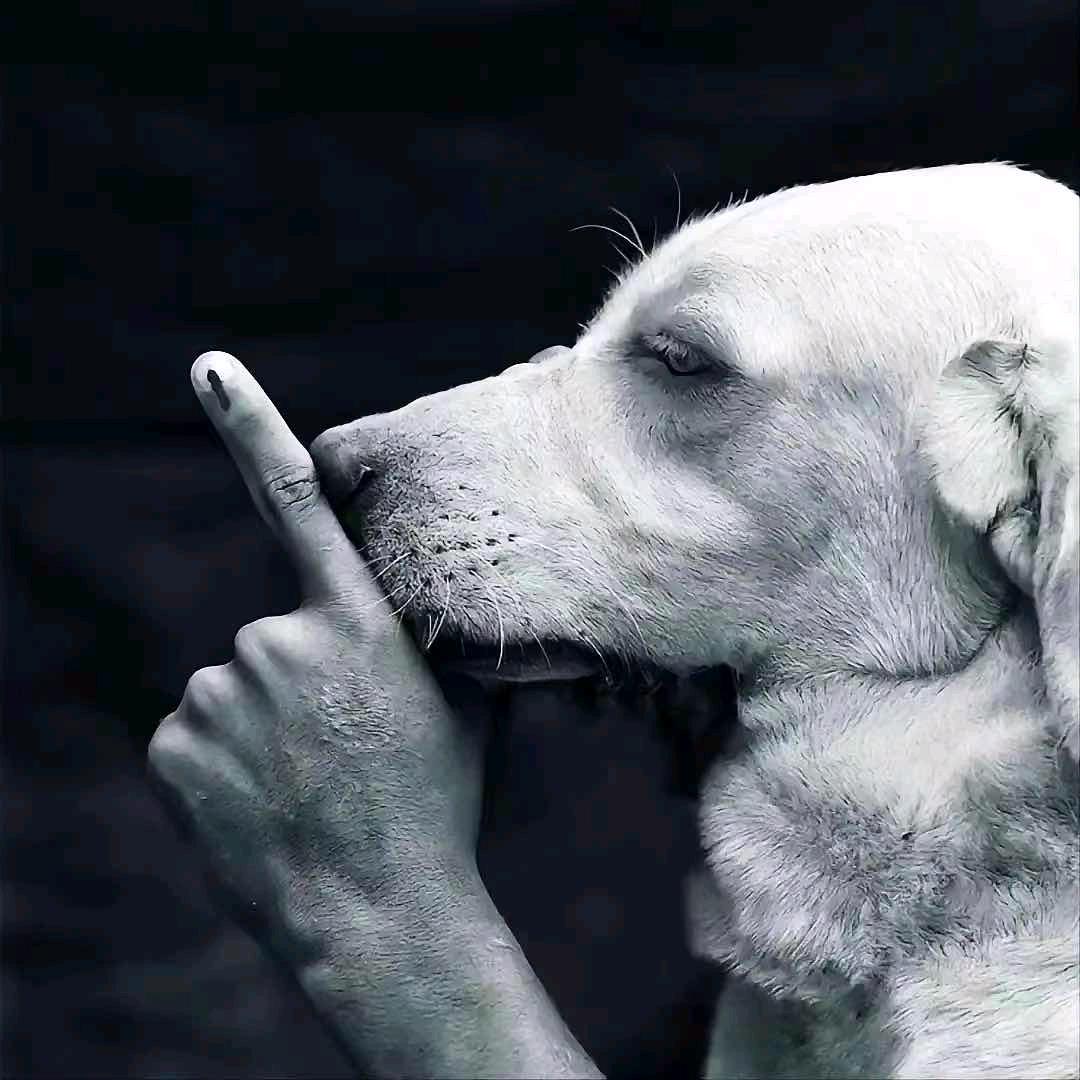 到不了～