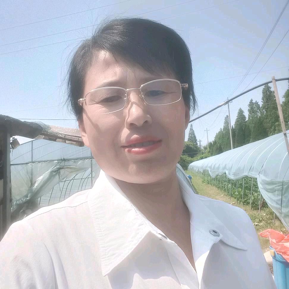 老陈🔥