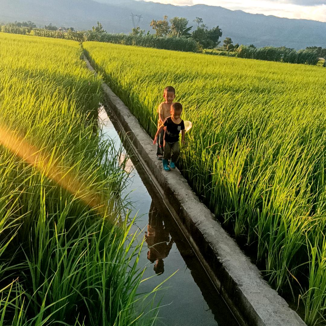 Banmaw Ll. Su Mေလး