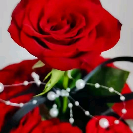 愿意和你在一起