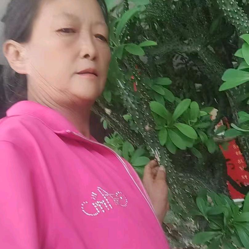 丰盛村淑兰