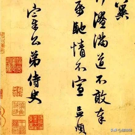柒柒丫头像