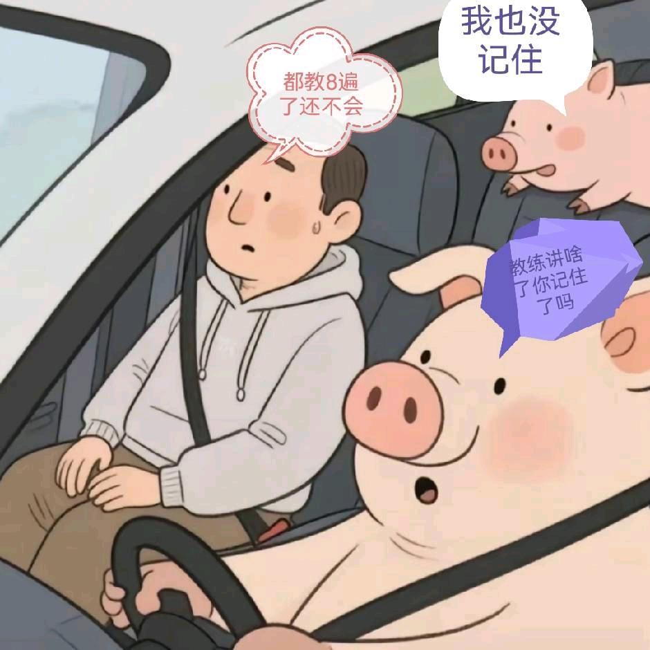 上海驾校赵教练（虹口区分校）
