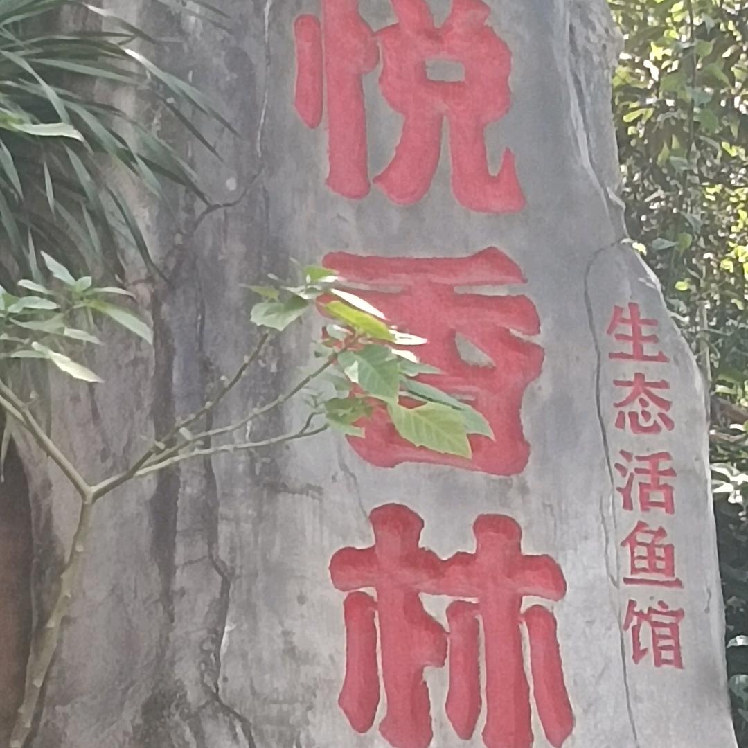 为爱奋斗
