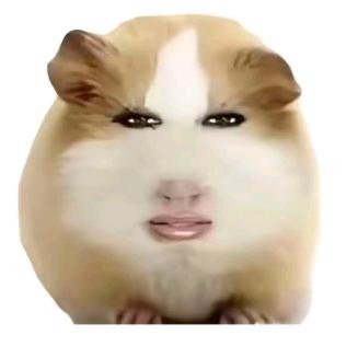 泡泡鱼