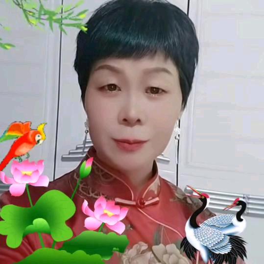圆梦姐