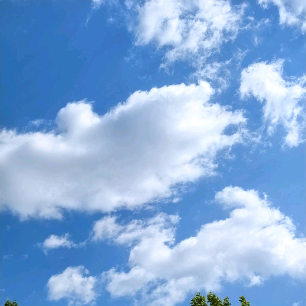 潍栋
