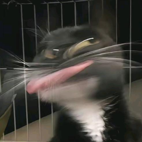 开心就超人.