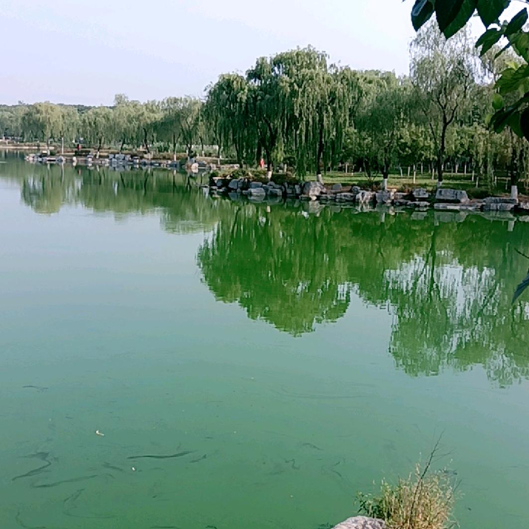 唉，唉，唉