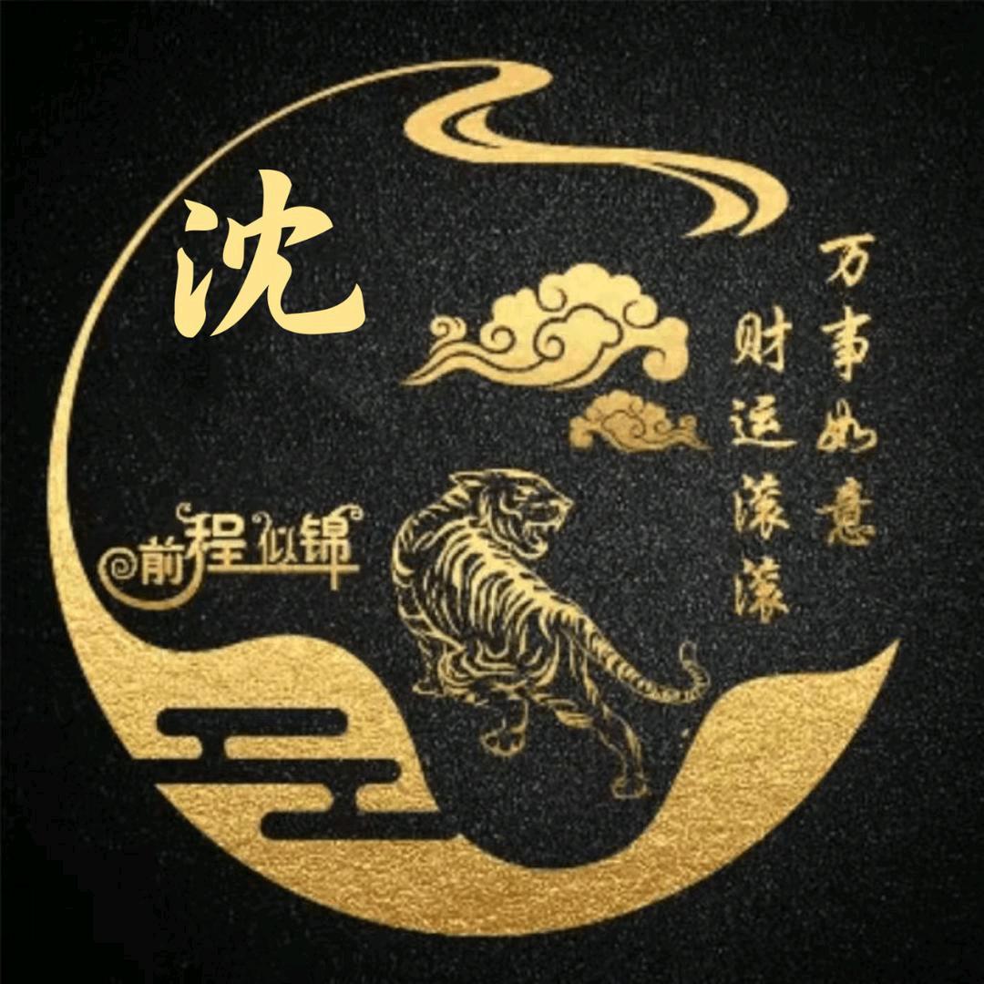 沈不由己
