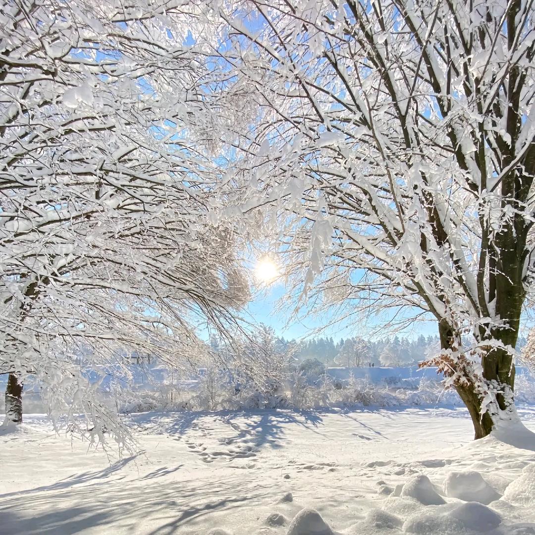 闪闪发光的小铺