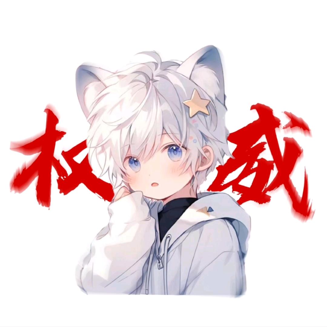 千神の南汐游戏解说吖