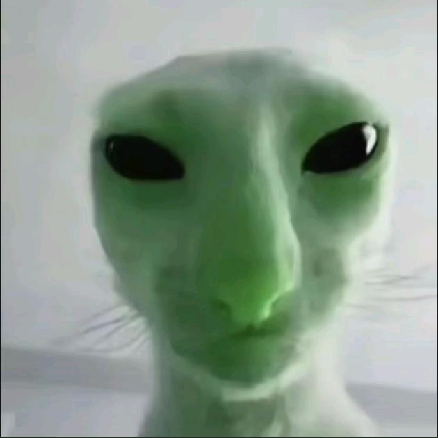 neko