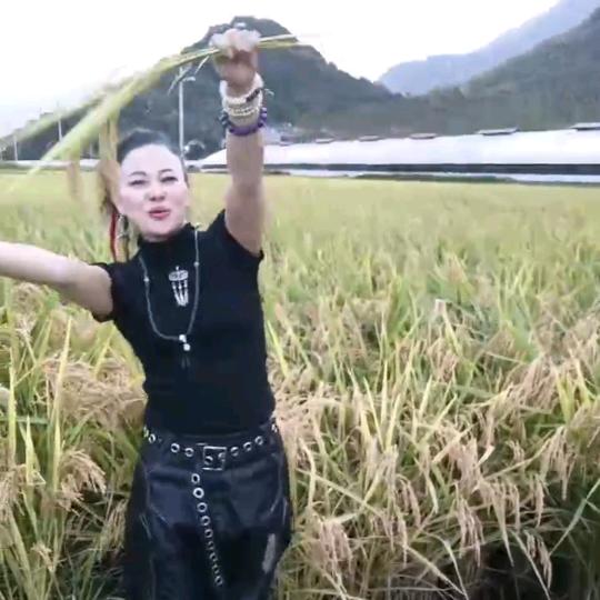 八戒水果农庄