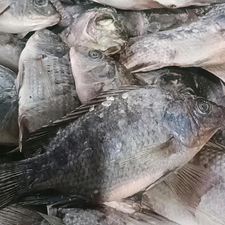 打工人在河口冷库