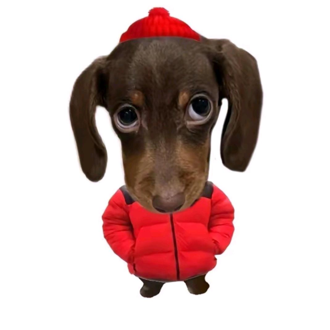 每天打一个小时的王者荣耀