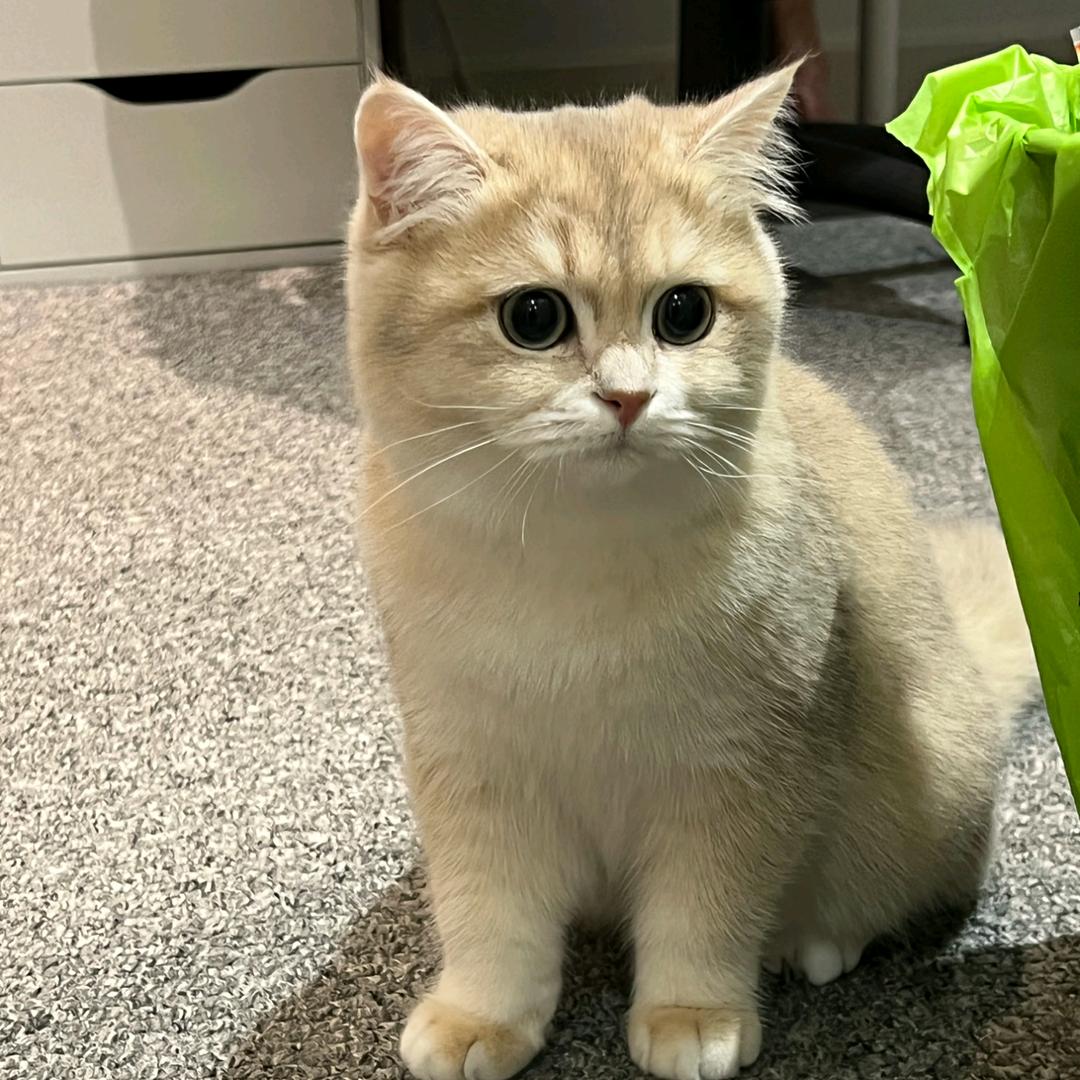 中山市这路挺宽电子商务有限公司