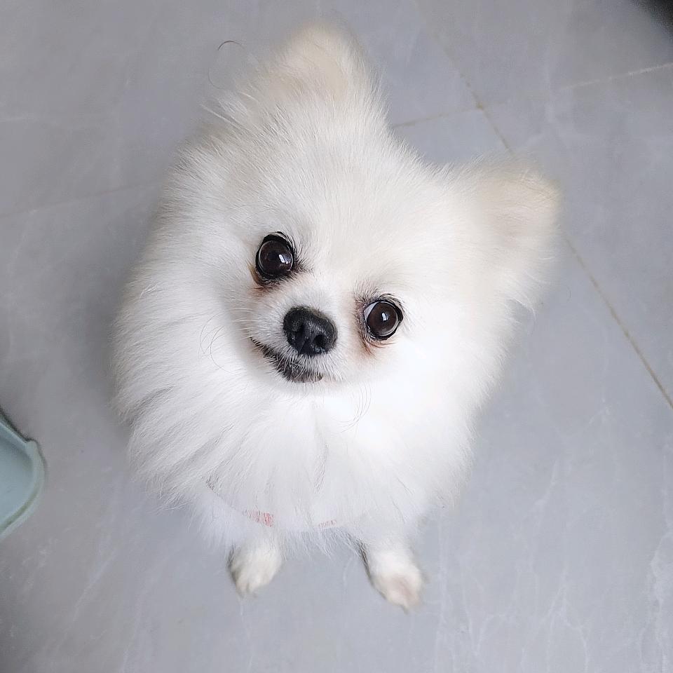 暖 心♥向 阳🌈