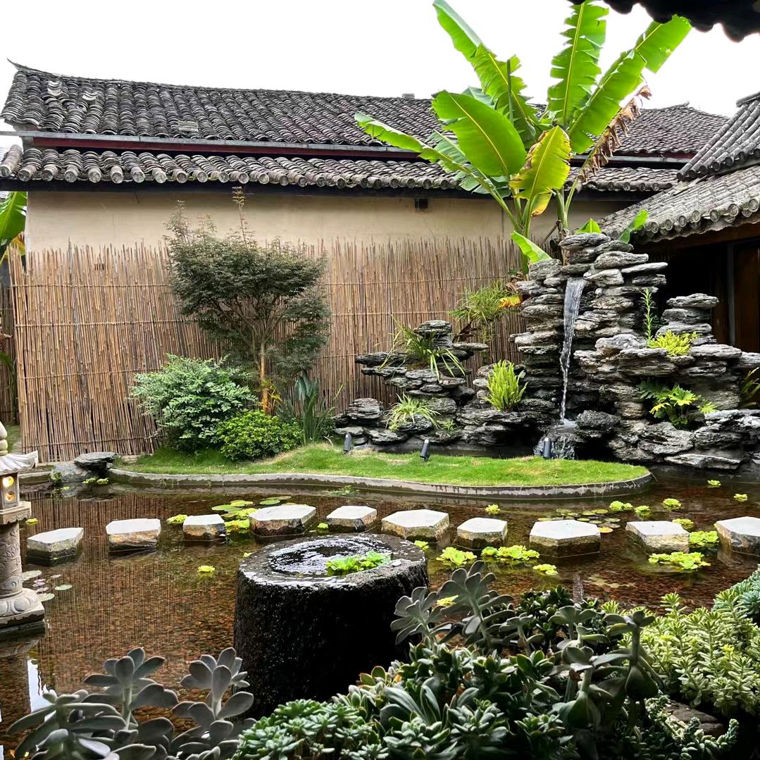 小豬崽