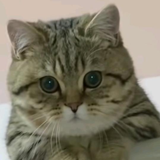从此爱财爱你