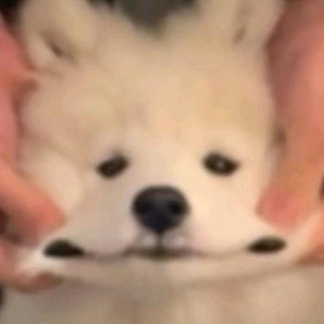等等ddd
