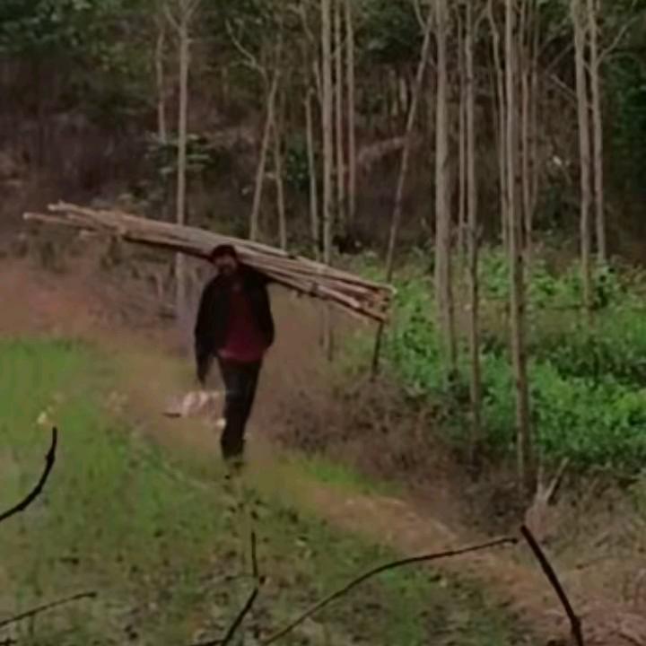 卢部长（你真我也真，你假我转身）