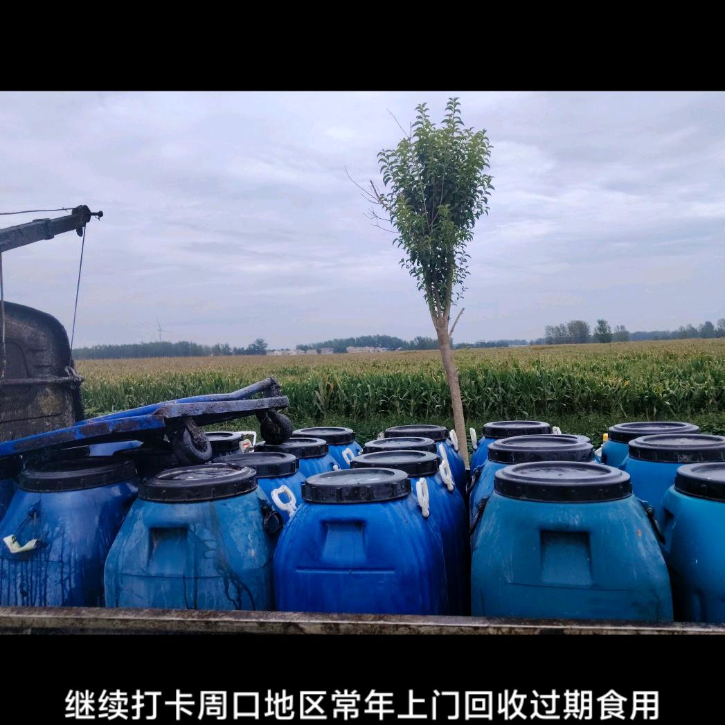 废油回收，殷利增