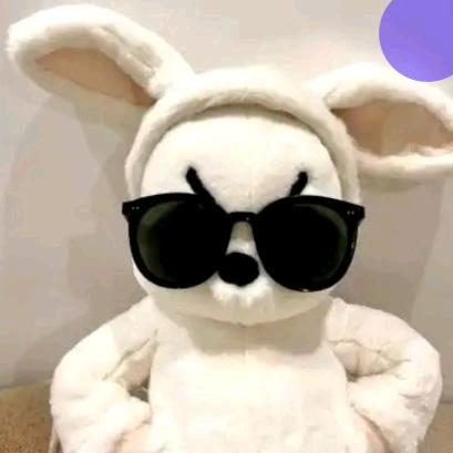 🐇我的土豆去哪了