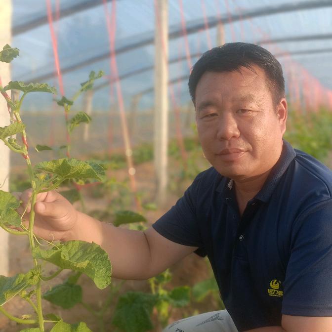小刘讲大棚~农业种植技术指导