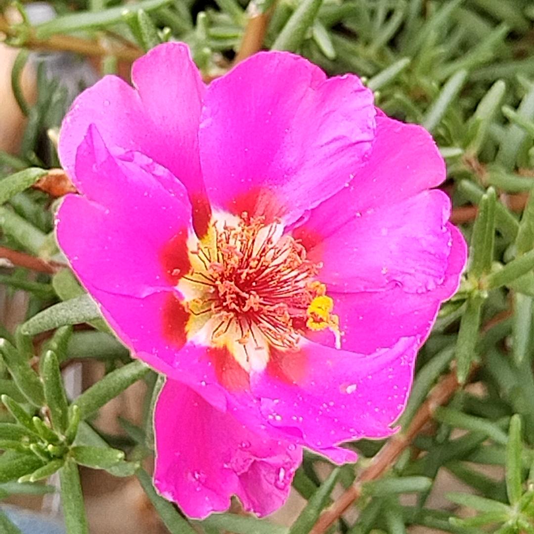 光辉☆岁月