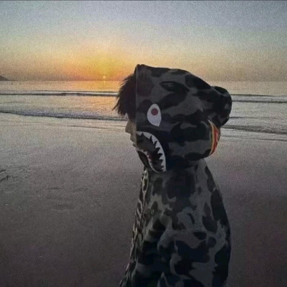 承💤