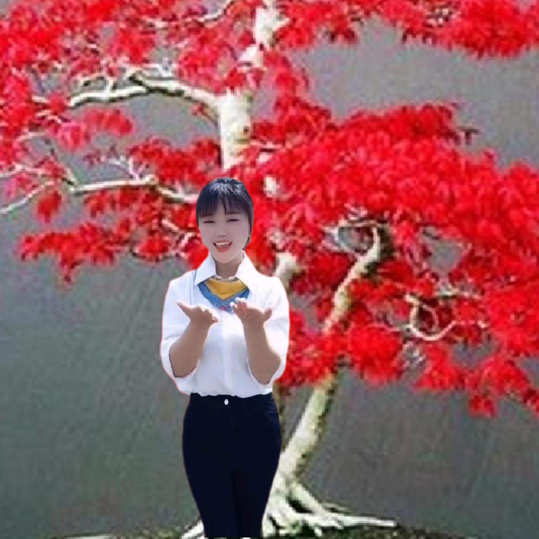 桃花依旧笑春风