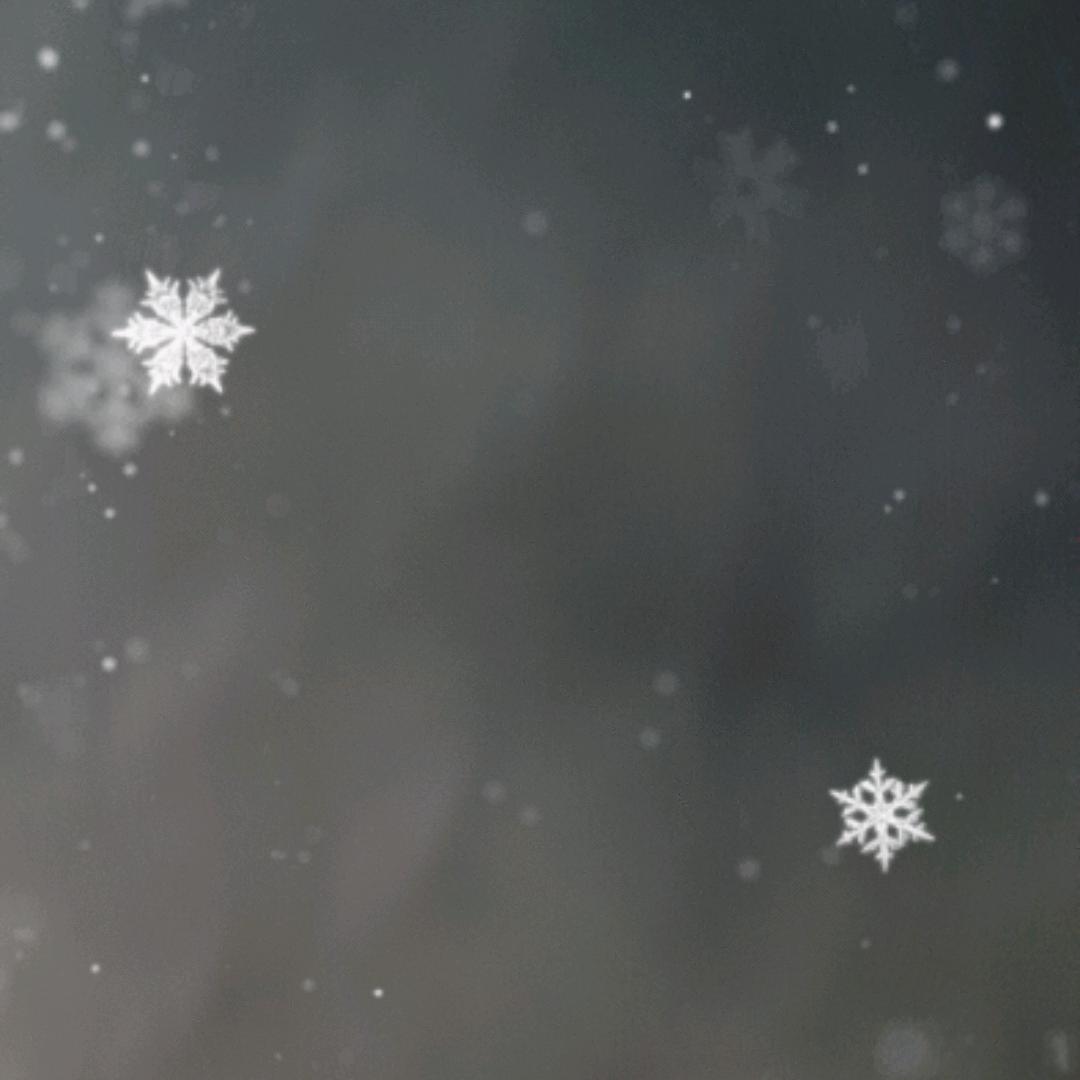 将军之剑不斩无名之辈